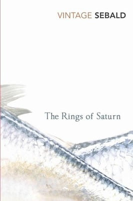 The Rings of Saturn